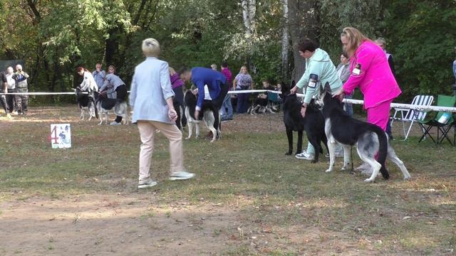 Класс юниоров смотреть онлайн