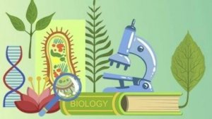 Биология 6 класс. Деление клетки.--