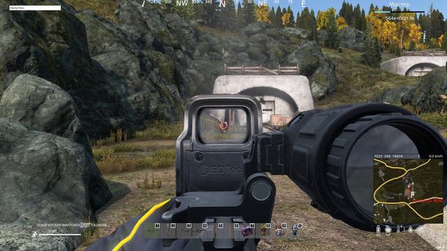 это что за покемон