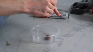 приготовил ланчи и оценил (брайн)