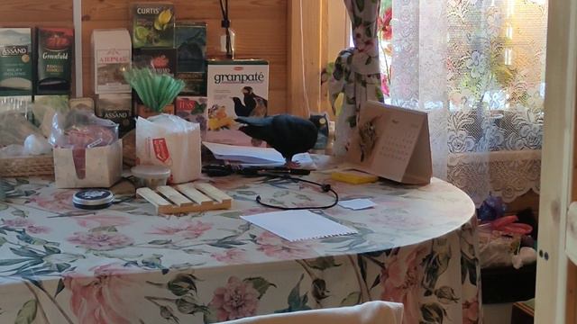 Анастасия. Голубь Амрита модернизирует гнездо смотреть онлайн