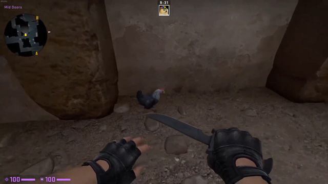 BLACK COCK IN CS:GO (GONE SEXUAL) смотреть онлайн
