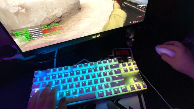 Typing SteelSeries Apex 7 TKL Ghost x Logitech PRO X SUPERLIGHT White in CS:GO смотреть онлайн