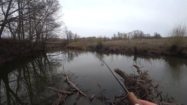 А где же голавль? смотреть онлайн