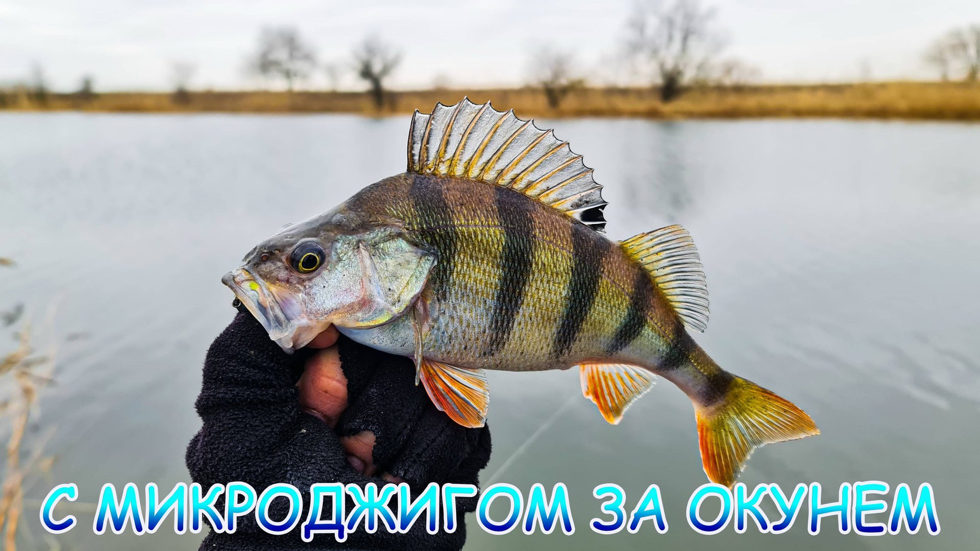 Микроджиг с лодки на реке! За окунем и щукой! Вредный, весь в пиявках! смотреть онлайн