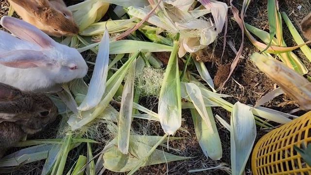 Сентябрь... 🍁 смотреть онлайн