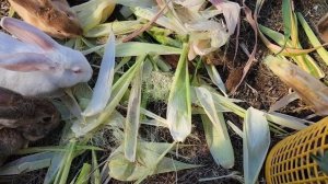 Сентябрь... 🍁