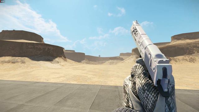 Driver Gloves King Snake | CS2 Skin Showcase #307