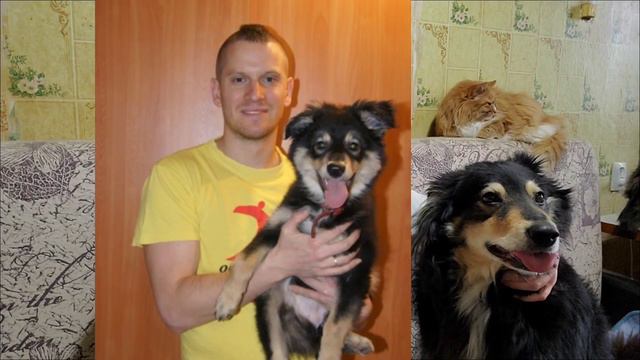 СОБАКЕ МАРТЕ 9 ЛЕТ! смотреть онлайн