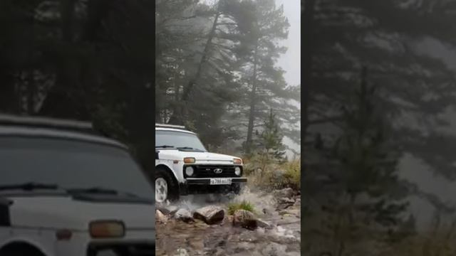 Нива смотреть онлайн