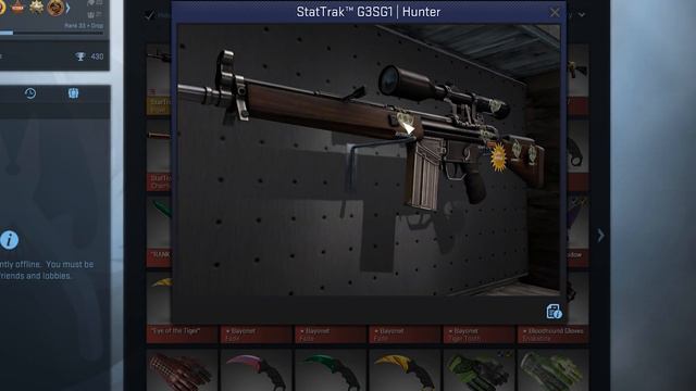 He Spent $1500 on THIS?? (New Chinese Collector CS:GO Inventory Showcase) смотреть онлайн