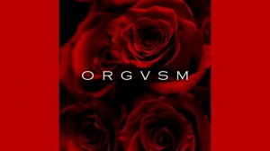 ORGVSM_ГОРЯЧАЯ МУЗЫКА ДЛЯ ДВОИХ ❤ ❤