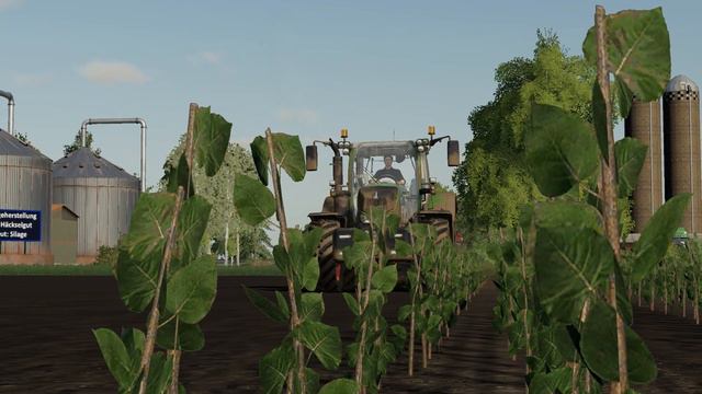 Ls19 Forst Pappeln Pflanzen als Energiepflanze смотреть онлайн