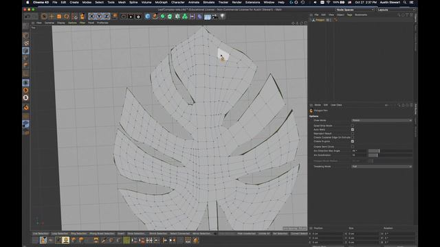 Cinema4D S22 : Model a leaf using the Polygon Pen tool and Soft Selection : Part 1 смотреть онлайн