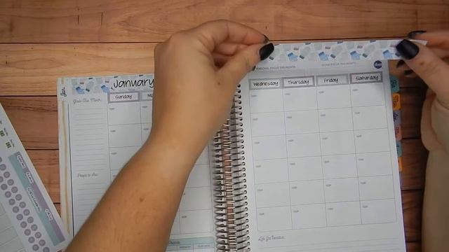 January Monthly Plan with Me | Live Rich Planner | Life in Envelopes Stickers | Cara Jo Plans смотреть онлайн