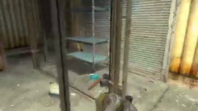 Half-Life 2 EP2 Puzzle смотреть онлайн