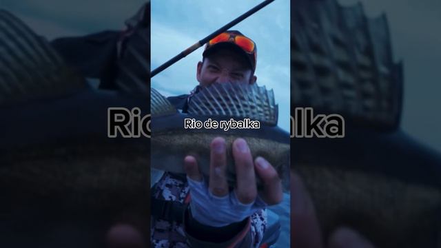 Знаете такой ГОРОД?) #снастиздрасьте смотреть онлайн