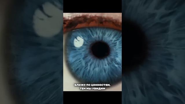 Различие мнений. смотреть онлайн