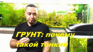 Что происходит в грунте. (Архив от 6.07.2024)