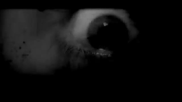 [Сборник] ПАПА, НЕ ВЫКЛЮЧАЙ НОЧНИК - WorldBegemotKot смотреть онлайн