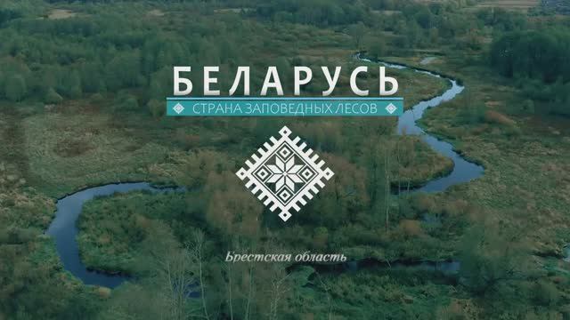 Беларусь - страна заповедных лесов (Брестская область), Республика Беларусь смотреть онлайн