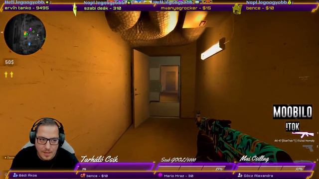 Counter-Strike: Global Offensive (2021-11-24) смотреть онлайн