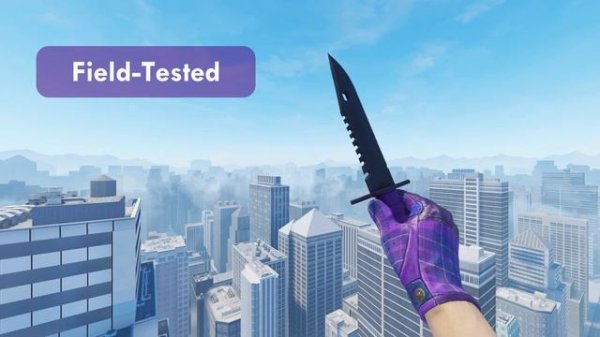 Driver Gloves | Imperial Plaid All Wears (CS2)