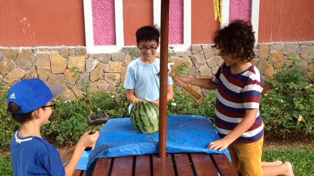 A Story Treehouse Project смотреть онлайн