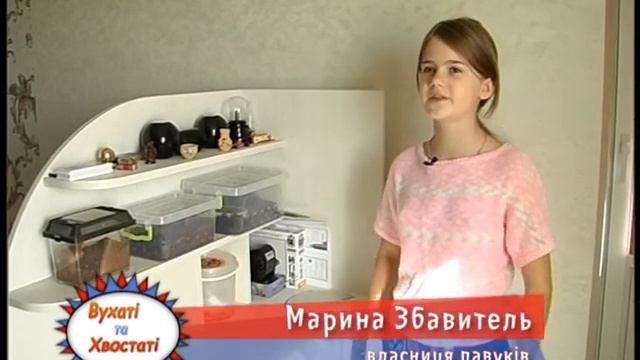 Вухатi хвостатi на 02,11,14 смотреть онлайн