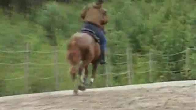 Marcin Mach - horse whisperer, horse first time with saddle. FINLAND смотреть онлайн