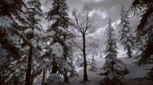 Звуки вьюги и снежной бури у ледяной стены которые помогут Вам избавится от стресса и уснуть