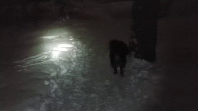 ЛЕСНЫЕ БЕСЕДЫ. Ищите своего человека смотреть онлайн