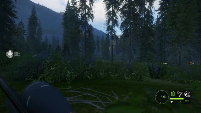 Diamond Turkey on cotw смотреть онлайн