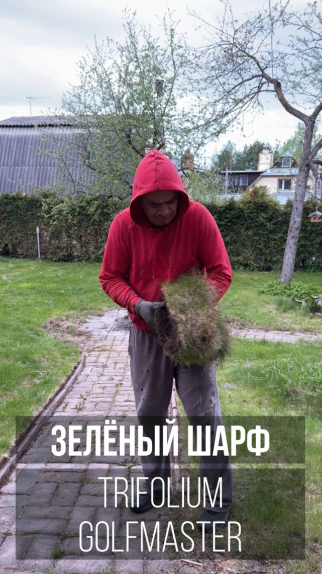 Предпродажная подготовка: Когда почистил брусчатку от травы и сам собой очень доволен... 🤣😂 смотреть онлайн