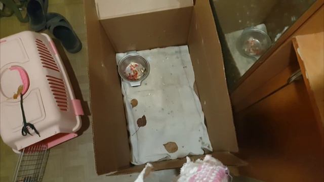 Те, кого забрали небеса смотреть онлайн