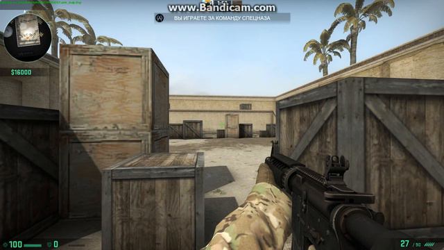 AIM MAP ALEX VS PASHA TRICEPS смотреть онлайн