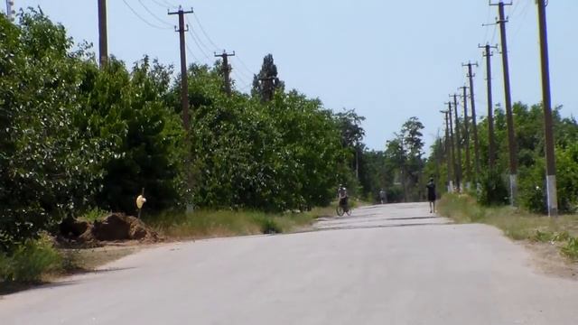 " Охримовка. 30-й выпуск. " Владимир Король. смотреть онлайн