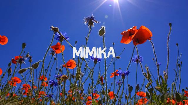 Best Musics for CSGO ✿ Gaming 1 Hour 2017 Songs ☺ Dubstep, Electro House, EDM ❁ смотреть онлайн