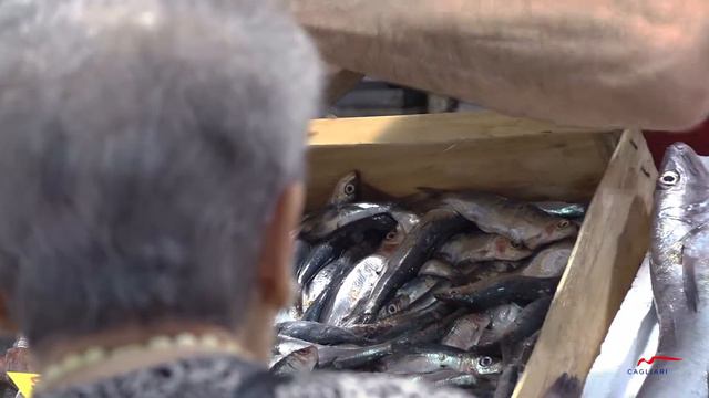 Mercado Cagliari San Benedetto 2019 смотреть онлайн