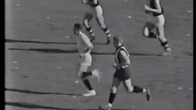 AFL 1966 Premiers - St. Kilda DVD смотреть онлайн