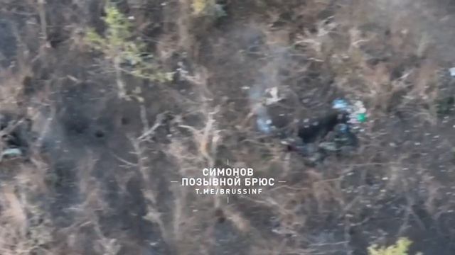 СВО 18+ Маленькая, дохлая подборка смотреть онлайн