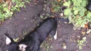 МАЛЫШ СЪЕЛ ВСЮ РЫБУ! ПОНЯТЬ И ПРОСТИТЬ! Рыбалка на удочку!