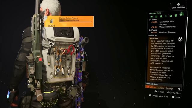 SCALPAL makes SNIPER SKILL BUILD COMBO in THE DIVISION 2 2024 смотреть онлайн