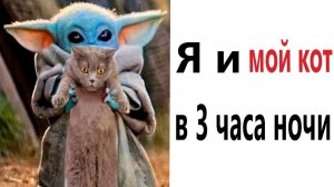 Приколы! Я И МОЙ КОТ В 3 ЧАСА НОЧИ - МЕМЫ!!! Смешные видео