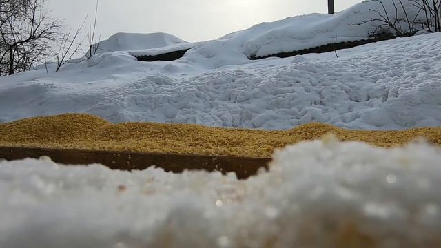 Котёночек 31032022 смотреть онлайн