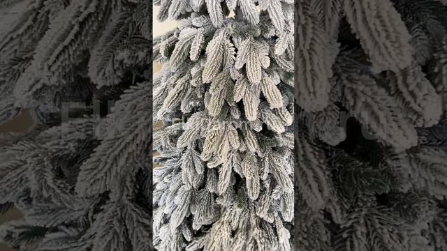 Ель Литая Заснеженная Северная смотреть онлайн