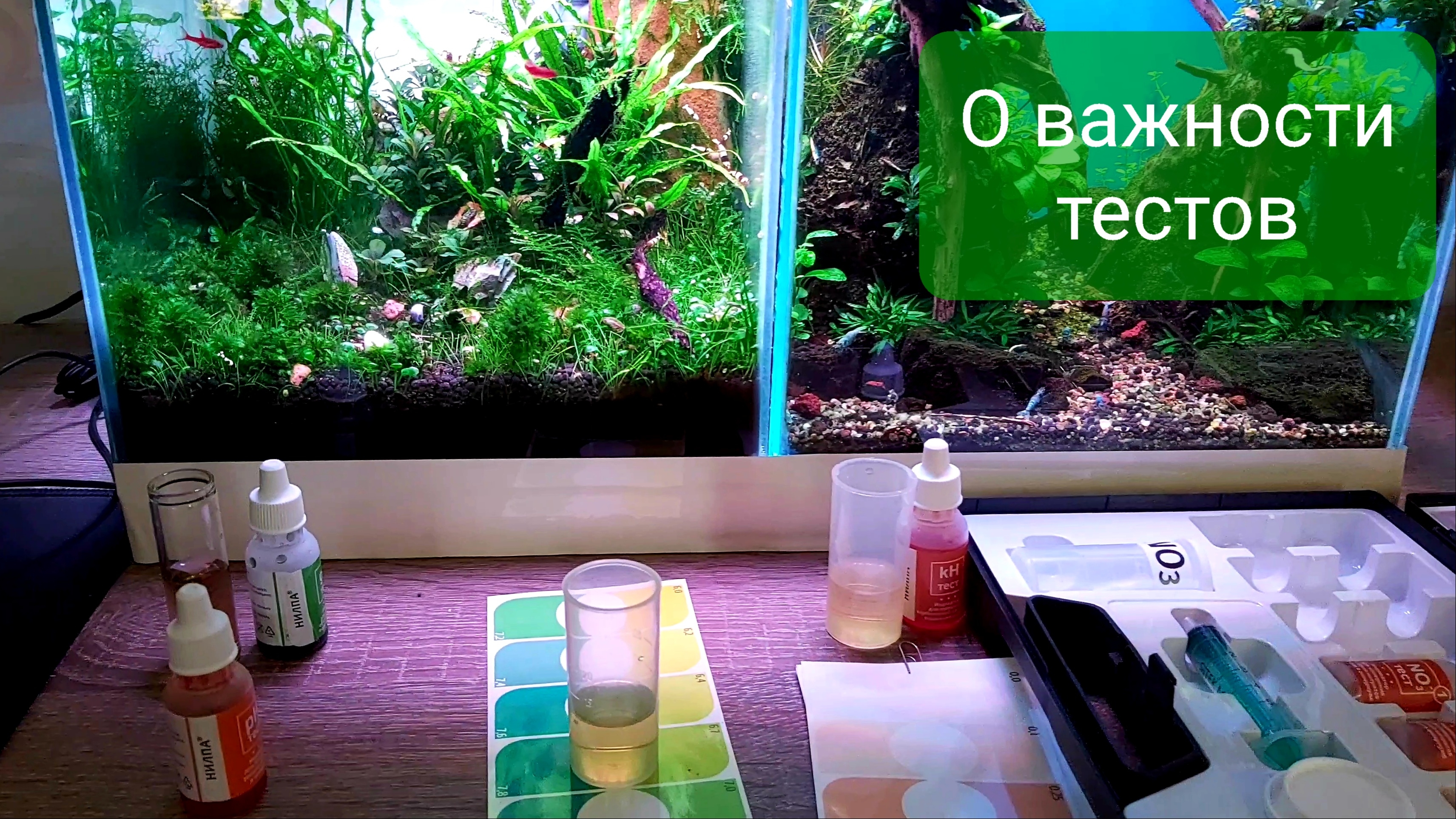 О важности тестов аквариумной воды смотреть онлайн