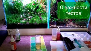 О важности тестов аквариумной воды