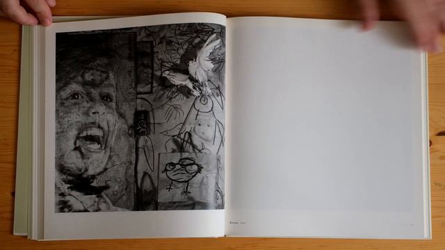 Roger Ballen: Asylum of the Birds (Thames&Hudson, 2014) смотреть онлайн