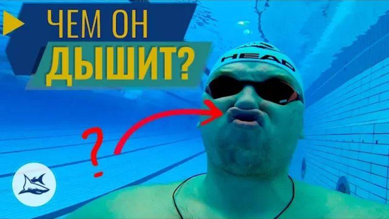 Как не задыхаться при плавании кролем. Упражнения на дыхание в плавании смотреть онлайн